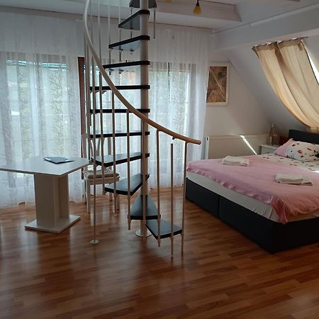 Pension Donaublick Grein 2 In Stifterstrasse19. 아파트 외부 사진